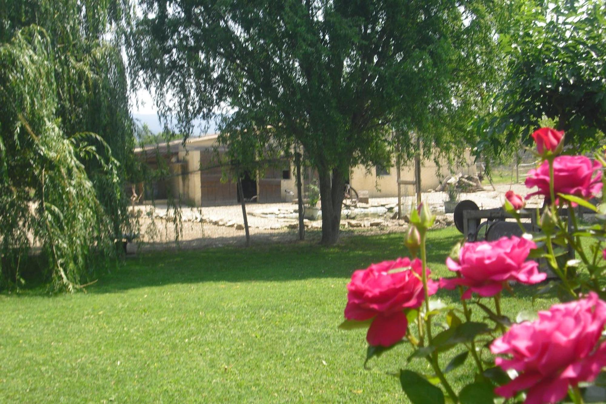 Lou Mas Li Pitchoun "La Bergerie" Apartment Gordes Exterior foto